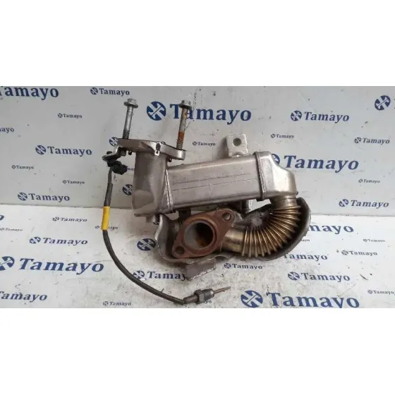 Enfriador Gases para Nissan Qashqai (J10)