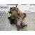 Diferencial Trasero para Suzuki Grand Vitara Jb (Jt)