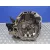 Caja Cambios para Renault Clio Iii