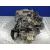 Caja Cambios para Suzuki Ignis Rm (Mh)
