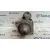 Motor Arranque para Ford Focus Berlina (Cap)