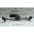 Motor Limpia Delantero para Peugeot 206 Berlina