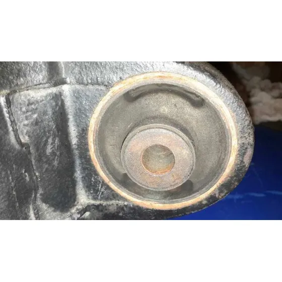 Diferencial Delantero para Nissan Terrano/Terrano.ii (R20)