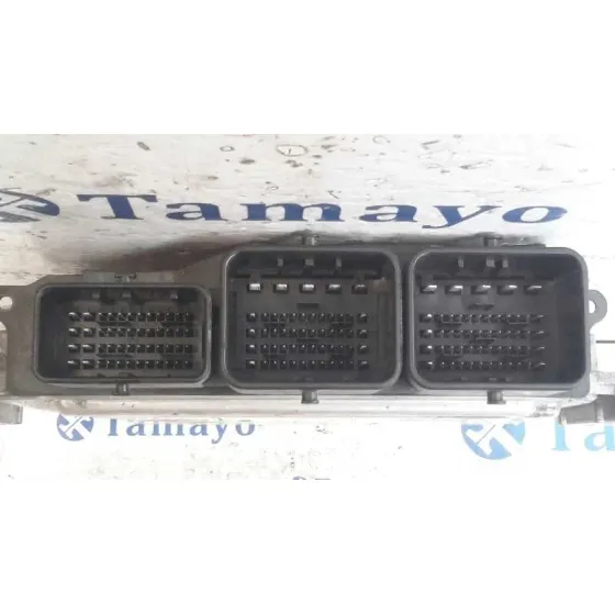Centralita Motor Uce para Ford Fiesta (Cb1)