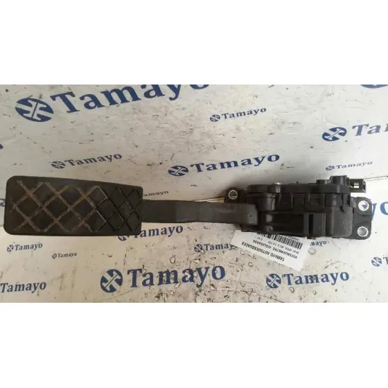 Potenciometro Acelerador para Seat Ibiza (6L1)