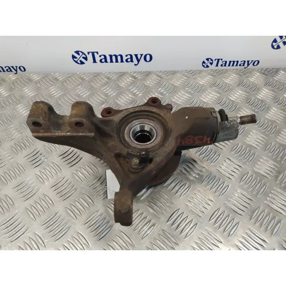 Mangueta Delantera Izquierda para Peugeot 307 (S1)