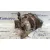 Alternador para Mazda 5 Berl. (Cr)
