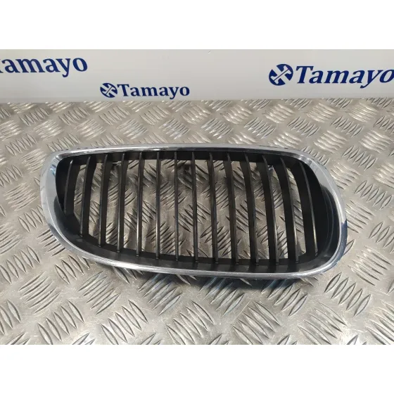 Rejilla Delantera para Bmw Serie 3 Cabrio (E93)