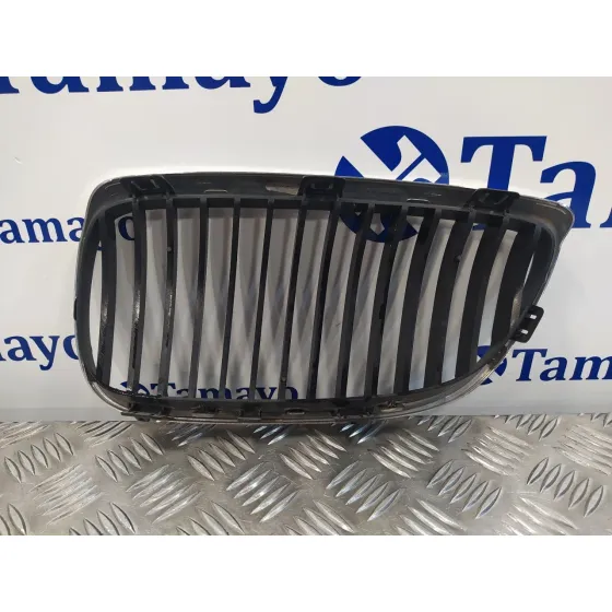 Rejilla Delantera para Bmw Serie 3 Cabrio (E93)