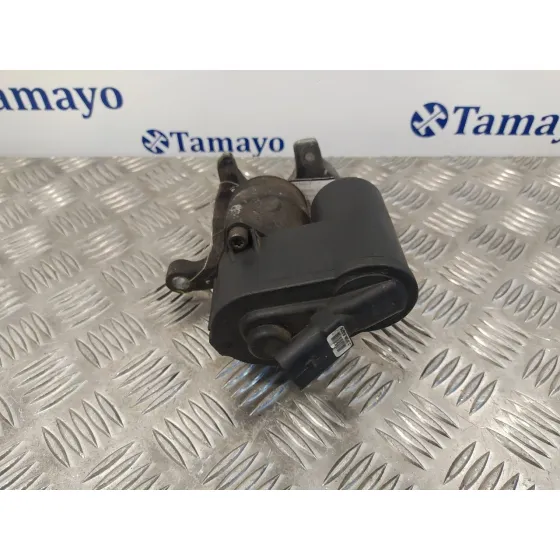 Pinza Freno Trasera Izquierda para Volkswagen Passat Cc (357)