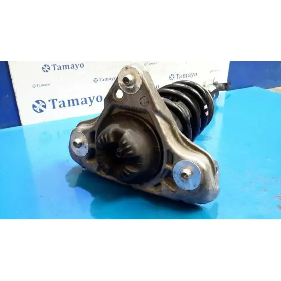 Amortiguador Delantero Izquierdo para Audi A4 Avant (8K5) (2008)