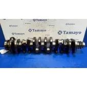 Ciguenal para Bmw Serie 5 Berlina (E39)