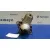 Motor Arranque para Opel Astra G Berlina
