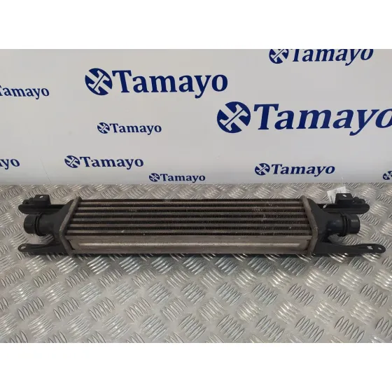Intercooler para Opel Corsa D