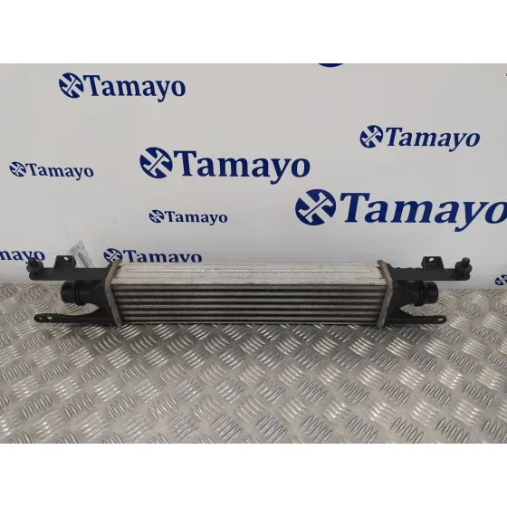 Intercooler para Opel Corsa D