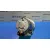 Motor Arranque para Mazda 6 Berlina (Gg)