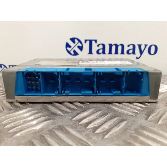 Centralita Cambio Automatico para Bmw Serie 3 Berlina (E46)