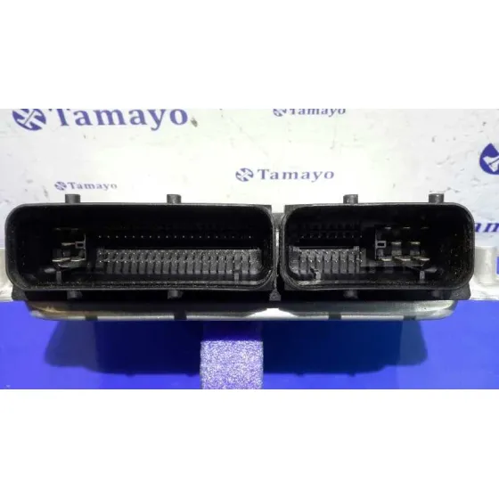 Centralita Motor Uce para Seat Ibiza (6L1)