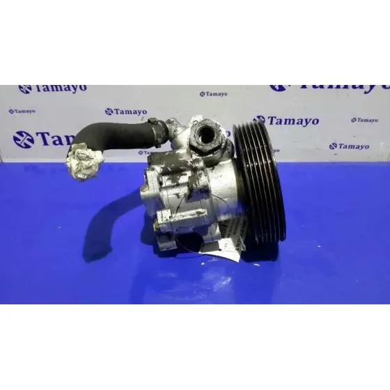 Bomba Direccion para Citroën C8