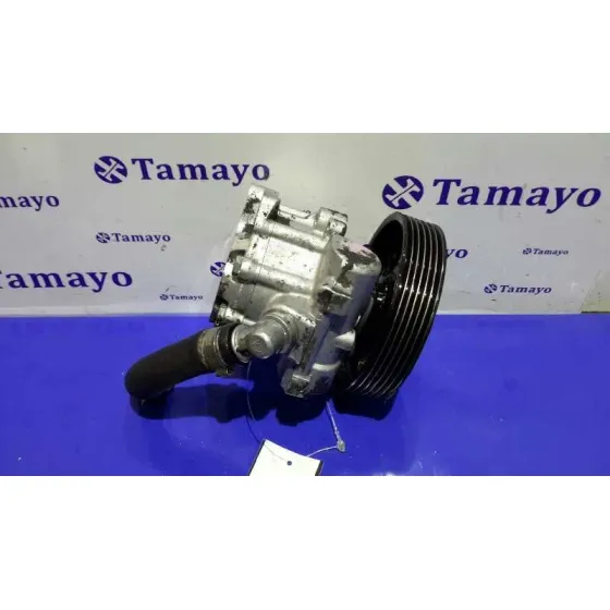 Bomba Direccion para Citroën C8