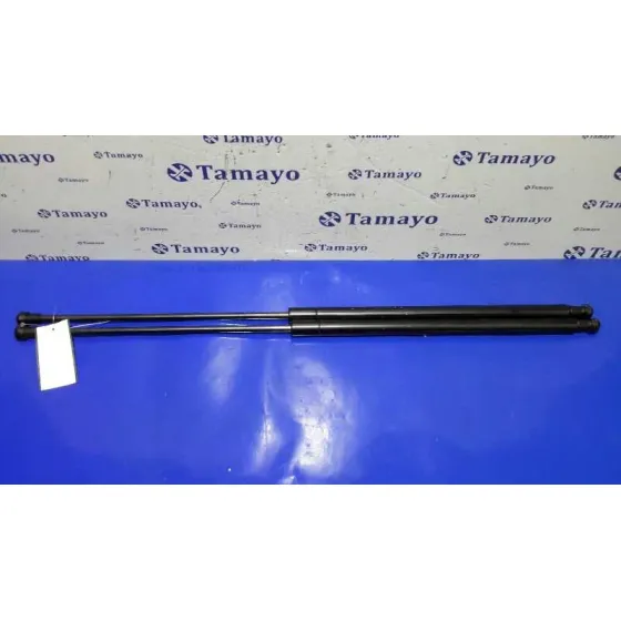 Juego Amortiguadores Trasero para Nissan Juke (F15)
