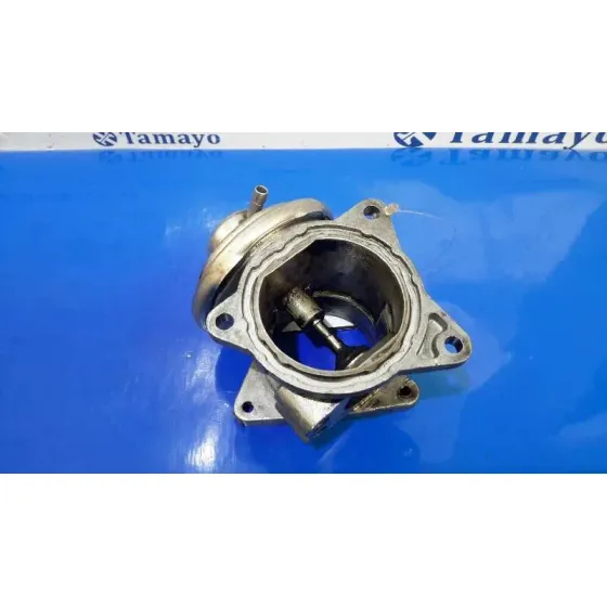 Valvula Egr para Volkswagen Touran (1T2)
