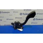 Potenciometro Pedal para Toyota Rav 4 (A3)