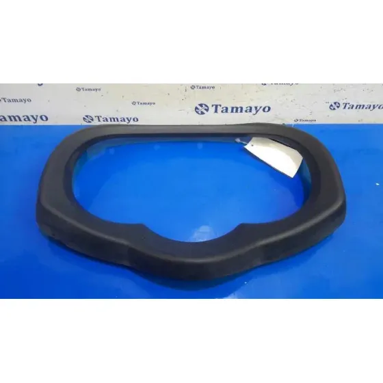Carcasa Cuadro Instrumentos para Toyota Rav 4 (A3)