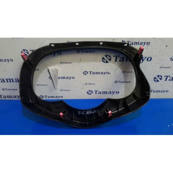 Carcasa Cuadro Instrumentos para Toyota Rav 4 (A3)