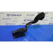 Pedal Acelerador para Fiat Grande Punto (199)