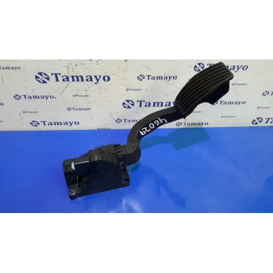Pedal Acelerador para Fiat Grande Punto (199)