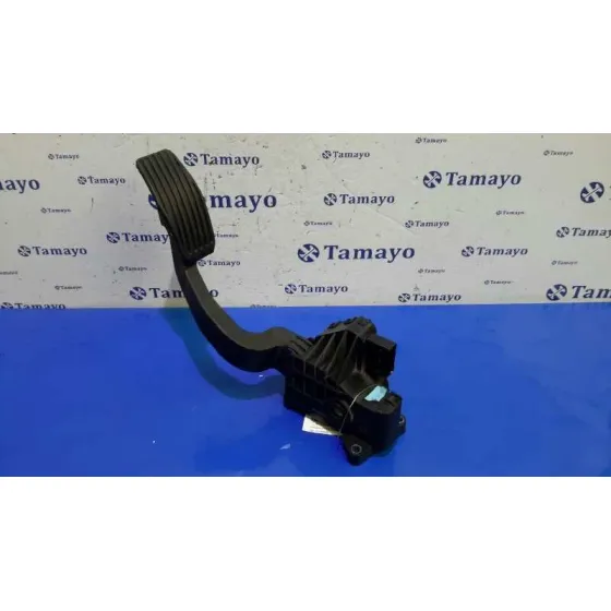 Pedal Acelerador para Fiat Grande Punto (199)