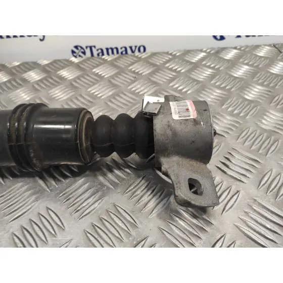 Amortiguador Trasero Izquierdo para Citroën C4 Ii (Nc_)