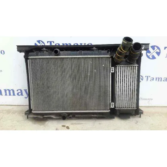 Intercooler para Citroën C4 Ii (Nc_)