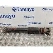 Amortiguador Trasero Derecho para Bmw Serie 3 Touring (F31)