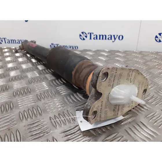 Amortiguador Trasero Derecho para Bmw Serie 3 Touring (F31)