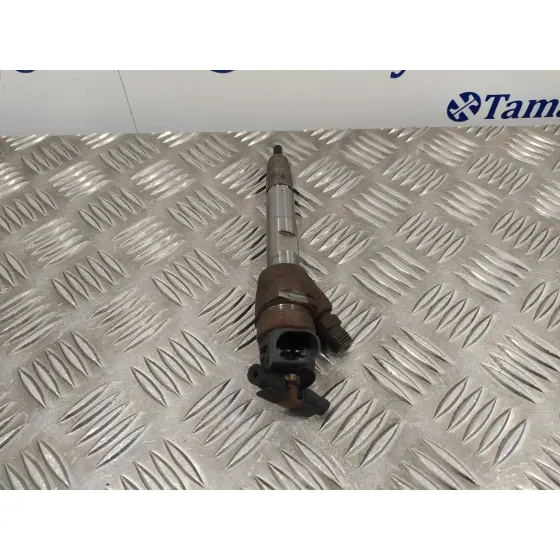 Inyector para Bmw Serie 3 Touring (F31)