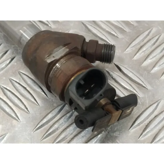 Inyector para Bmw Serie 3 Touring (F31)