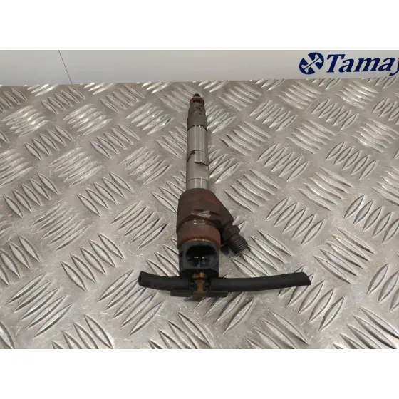 Inyector para Bmw Serie 3 Touring (F31)