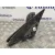 Retrovisor Electrico Derecho para Honda Civic Berlina 3/4 (Ej/Ek)