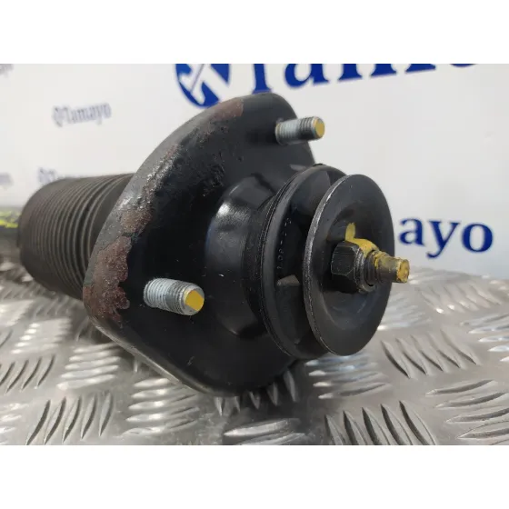 Amortiguador Trasero Derecho para Bmw X5 (E53)