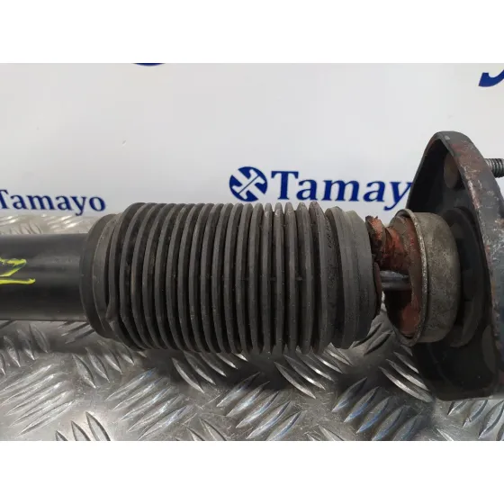 Amortiguador Trasero Derecho para Bmw X5 (E53)