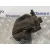 Pinza Freno Trasera Izquierda para Bmw X5 (E53)