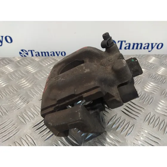 Pinza Freno Trasera Izquierda para Bmw X5 (E53)