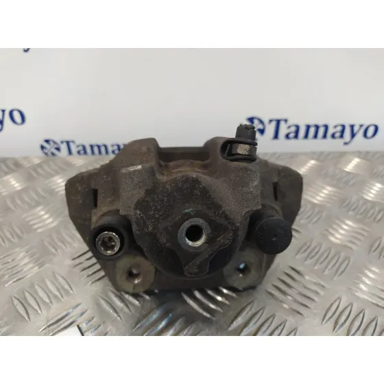 Pinza Freno Trasera Izquierda para Bmw X5 (E53)