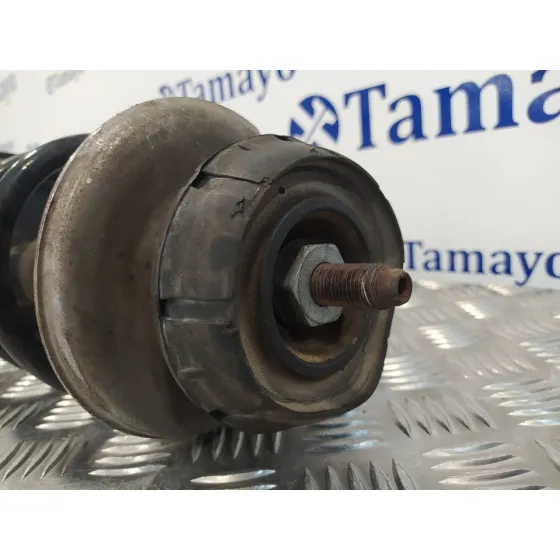 Amortiguador Delantero Izquierdo para Dacia Sandero