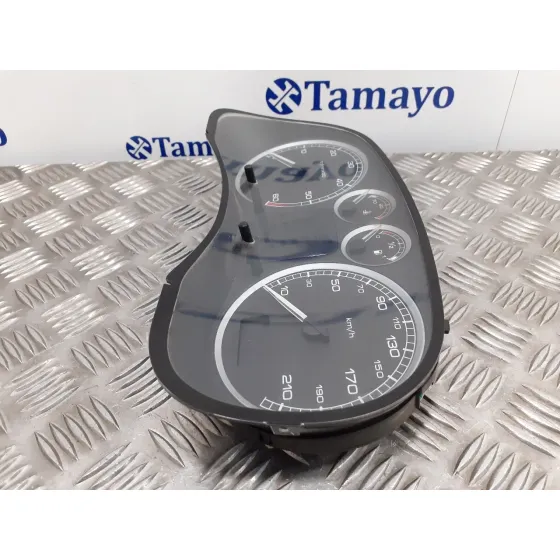 Cuadro Instrumentos para Peugeot 307 (S1)