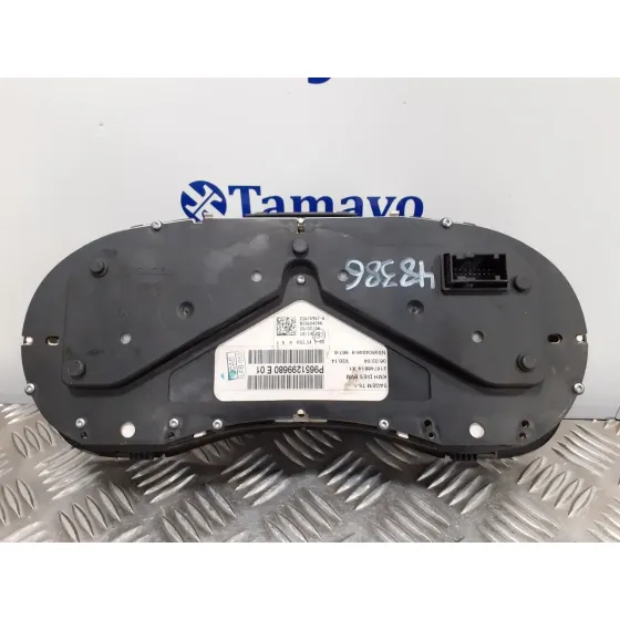 Cuadro Instrumentos para Peugeot 307 (S1)