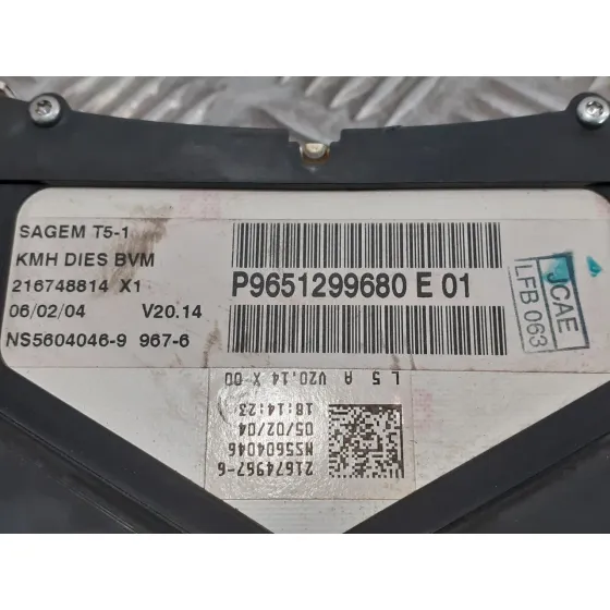 Cuadro Instrumentos para Peugeot 307 (S1)