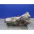Caja Cambios para Seat Exeo St (3R5)(2009>)